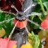 طراحی و اجرای آبیاری هوشمند و اتوماتیک تخصصی در بابلسر طراحی و اجرای