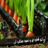 اجرای آبیاری هوشمند اجرای سیستم آبیاری قطره ای در نمک آبرود اجرای