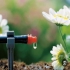 آبیاری قطره ای آبیاری فضای سبز در آمل آبیاری قطره ای در آمل آبیاری