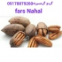 خرید و فروش انواع نهال گردو فارس نهال در شیراز تولید و فروش انبوه