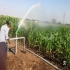 آبیاری هوشمند اجرای آبیاری قطره ای در بهنمیر فروشنده و مجری انواع