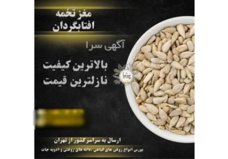 مغز آفتابگردان ریز و سالم در تهران فروش مغز آفتابگردان ریز و سالم