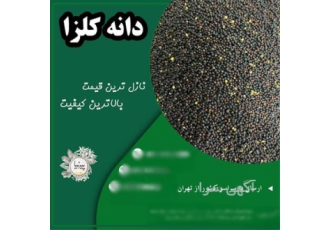 فروش کلزا بوجاری