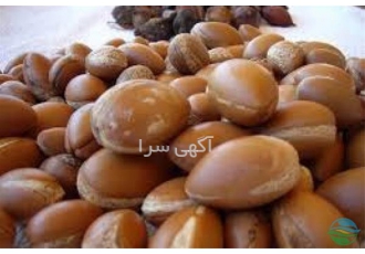 فروش دانه آرگان مراکش در تبریز دانه آرگان اصل مراکش می تواند به شما یک