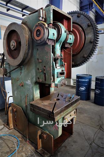 خرس بزرگ دیجی کالا