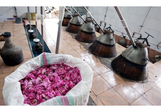 پخش گلاب سنتی ویژه بستنی سراها ارسال رایگان در کاشان پخش گسترده