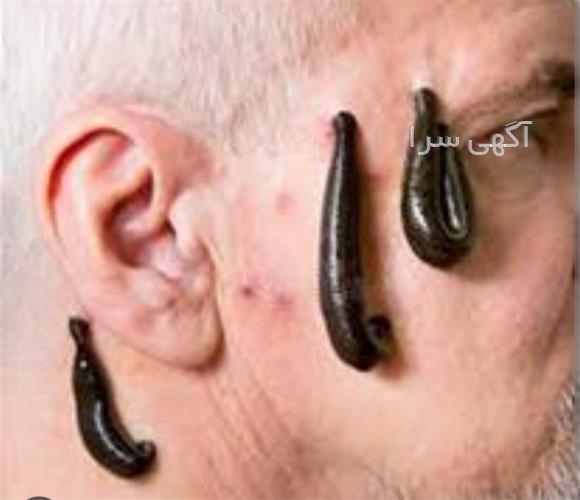آگهی های آموزش فنی و حرفه ای - شهر ری