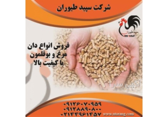 قیمت و فروش دان مرغ تخم گذار محلی طیور در تهران قیمت و فروش دان مرغ