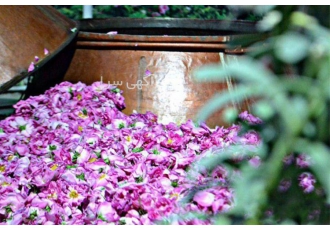 گلاب گالنی ویژه تولید بستنی نرخ مطلوب ارسال رایگان در کاشان گلاب گالنی