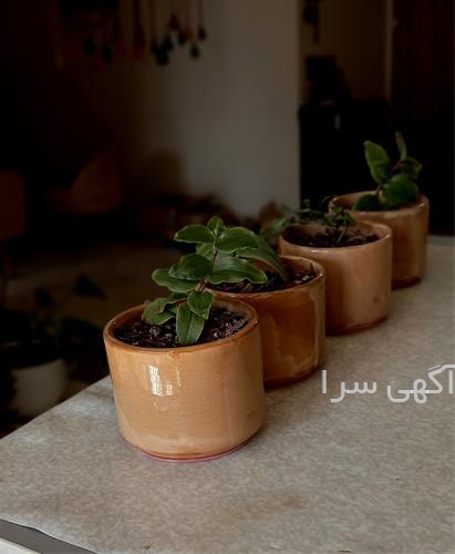 قیمت گلدان سرامیکی دیجی کالا