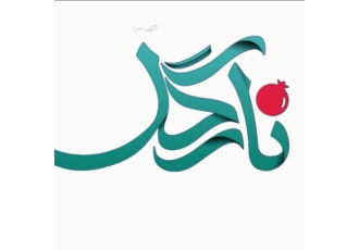 پوشاک ایرانی نارگل