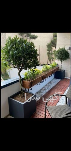 آگهی های کشاورزی و دامداری - لواسان