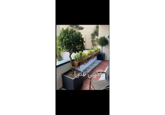 تولید فلاور باکس