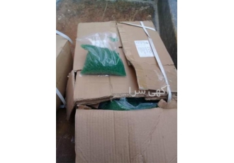 ساچمه تریگر بدون خطا وارداتی