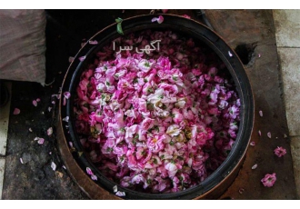 فروش گلاب سنتی ، عرضه گلاب به صورت گالن ویژه بستنی