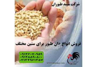فروش دان مرغ و انواع طیور کیفیت عالی - طیور