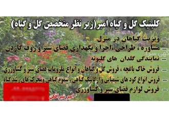 مرکز پخش گلدان‌های باکیفیت گلپونه در سراسر ایران در تهران آیا به دنبال