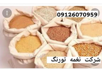فروش کسانتره مرغ محلی نعمه طیور طیور در تهران دان های تولیدی این