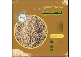 قیمت کنجد سفید در تهران فروش کنجد سفید کیلویی و تناژ کنجد سفید مناسب