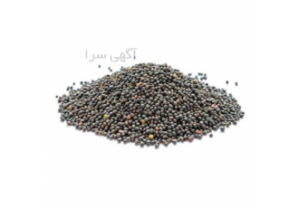 فروش کلزای شسته شده با کیفیت بالا و قیمت مناسب در تهران آیا به دنبال