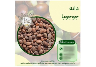 دانه جوجوبا در تهران فروش دانه جوجوبا کیلویی و تناژ جوجوبا حاوی مقدار