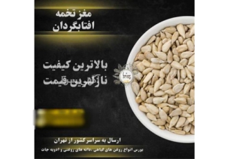فروش مغز آفتابگردان تازه و باکیفیت در تهران آیا به دنبال خرید مغز