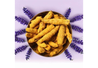 فروش زردچوبه قلم عمده و خرده (شرکت آقا بزرگ)