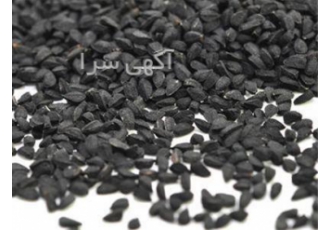 فروش سیاهدانه در تهران فروش سیاهدانه در تهران تولید سیاهدانه در تهران