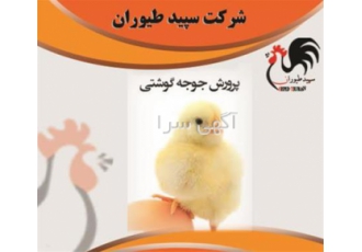 پلاس جوجه گوشتی فروش جوجه مرغ گوشتی طیور در تهران پلاس جوجه گوشتی فروش