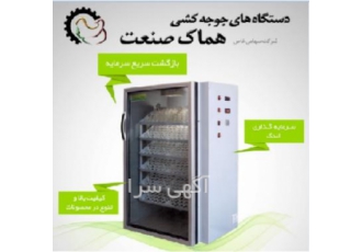 دستگاه جوجه کشی مخصوص غاز شرکت هماک صنعت بزرگترین تولید کننده جوجه غاز