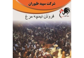 قیمت نیمچه مرغ محلی خرید نیمچه محلی طیور در تهران قیمت نیمچه مرغ