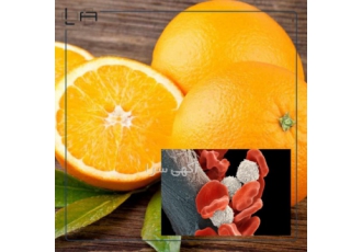 تامین مواد اولیه صنایع غذایی تامین و توزیع انواع مواد اولیه صنایع غذایی