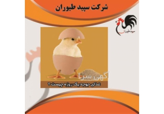 بازار جوجه یک روزه