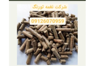 فروش دان مرغوب در تهران فروش دان مرغوب فروش دان مرغوب اهیمت دان مرغوب