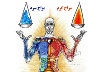 دوره آموزشی مزاج شناسی حرفه ای در تهران آموزش مزاج شناسی توسط استاد
