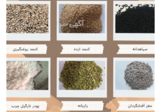 کنجد و انواع دانه های روغنی بازرگانی و پخش پیرنیا