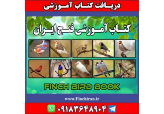فرصت شغلی در حوزه پرندگان زینتی فرصت شغلی در حوزه پرندگان زینتی پرورش