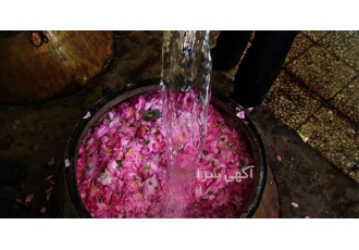 تولیدکننده گلاب بستنی، قیمت گلاب بستنی سنتی