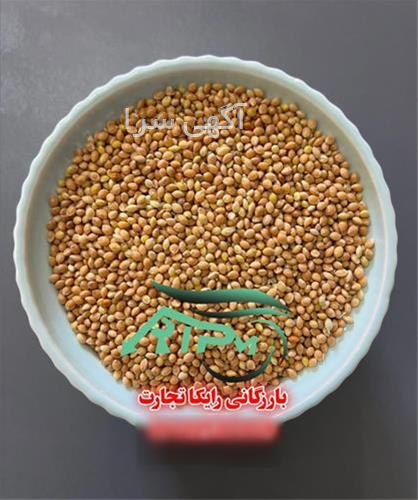 آگهی های محصولات زراعی و باغی - رشت