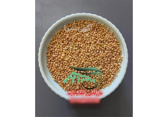 خرید مستقیم ارزن و تخم کتان با کیفیت عالی از رایکا تجارت