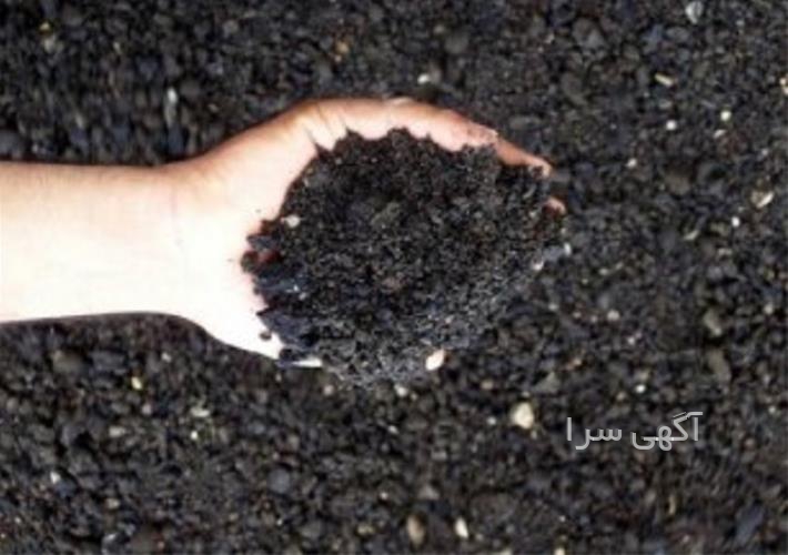 آگهی های محوطه سازی - ماهدشت