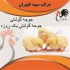 فروش جوجه مرغ گوشتی یک روزه همه روزه طیور در تهران فروش جوجه مرغ