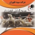 جوجه درجه یک یک روزه گوشتی طیور در تهران جوجه درجه یک یک روزه گوشتی
