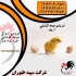فروش فوق العاده جوجه مرغ گوشتی طیور در تهران فروش فوق العاده جوجه مرغ