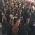 فروش مرغ ۱۲۰ روزه محلی پر تولید در نور معمولا نیمچه مرغ 120 روزه از نظر