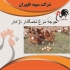 قیمت مرغ تخمگذار قیمت مرغ تخمگذار بالغ طیور در تهران قیمت مرغ