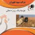 جوجه یک روزه محلی نژاددار واکسینه شده طیور در تهران جوجه یک روزه محلی