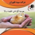 جوجه گوشتی فروش جوجه مرغ گوشتی مناسب ترین قیمت در تهران جوجه گوشتی