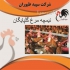 عرضه نیمچه مرغ محلی در تمامی سنین طیور در تهران قیمت نیمچه مرغ محلی