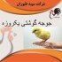 فروش جوجه گوشتی سالم با بهترین قیمت در تهران اگر به دنبال خرید جوجه